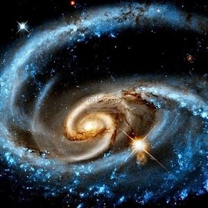 Meet your Posher, Ron